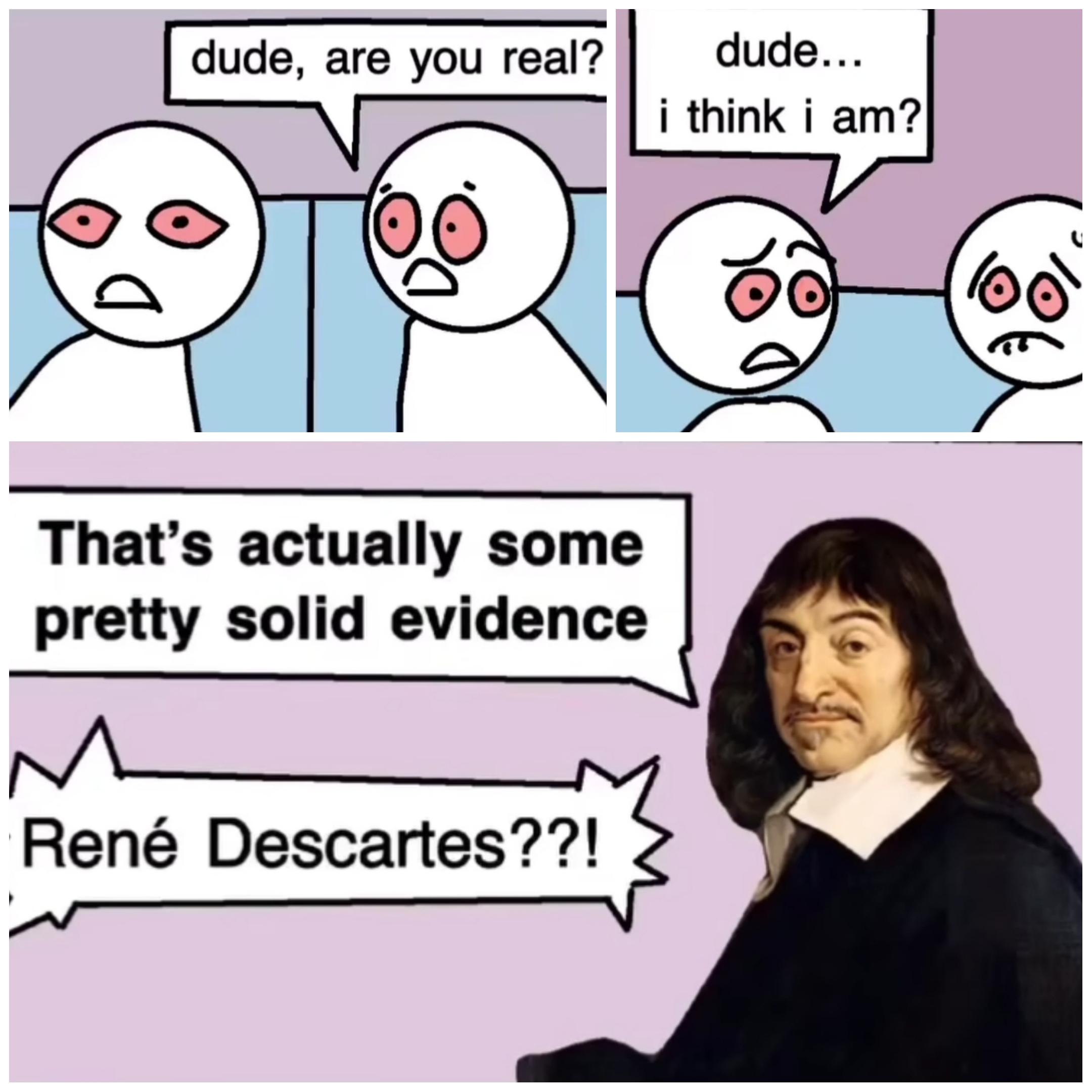 two dudes high as balls and one of them says am i even real and the other says dude i think... and then renee descartes pops out